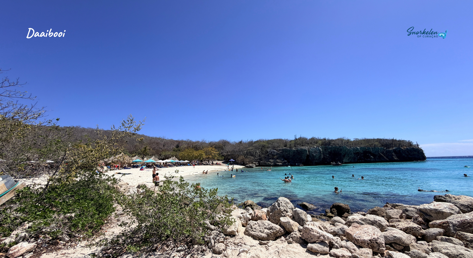 Snorkelen en schildpadden zien op Daaibooi Beach
