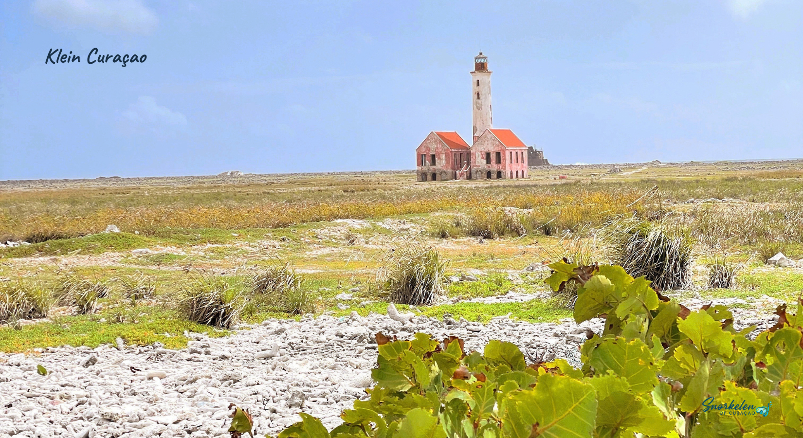 Snorkelen en schildpadden zien op Klein Curaçao